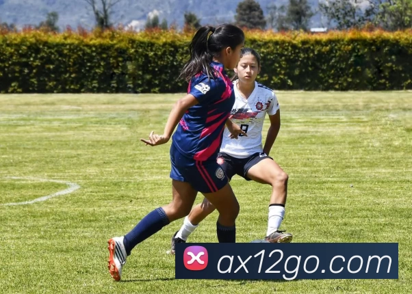 App Interface Preview